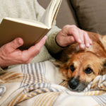 6 dicas de livros para você devorar